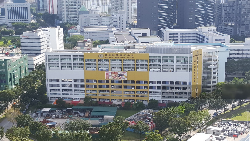 Blk 8B Upper Boon Keng Road (Kallang/Whampoa), HDB 5 Rooms #146794482
